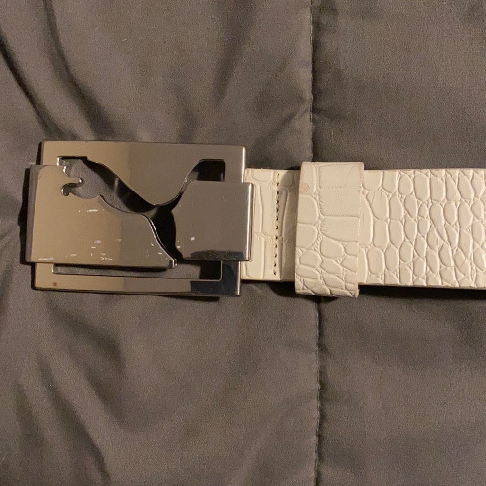 Puma belt